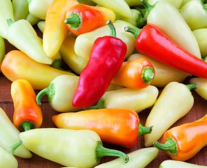 Santa Fe Grande SEEDS (approximately 20 seeds)