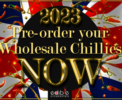 Pre-Order Wholesale Chillies
