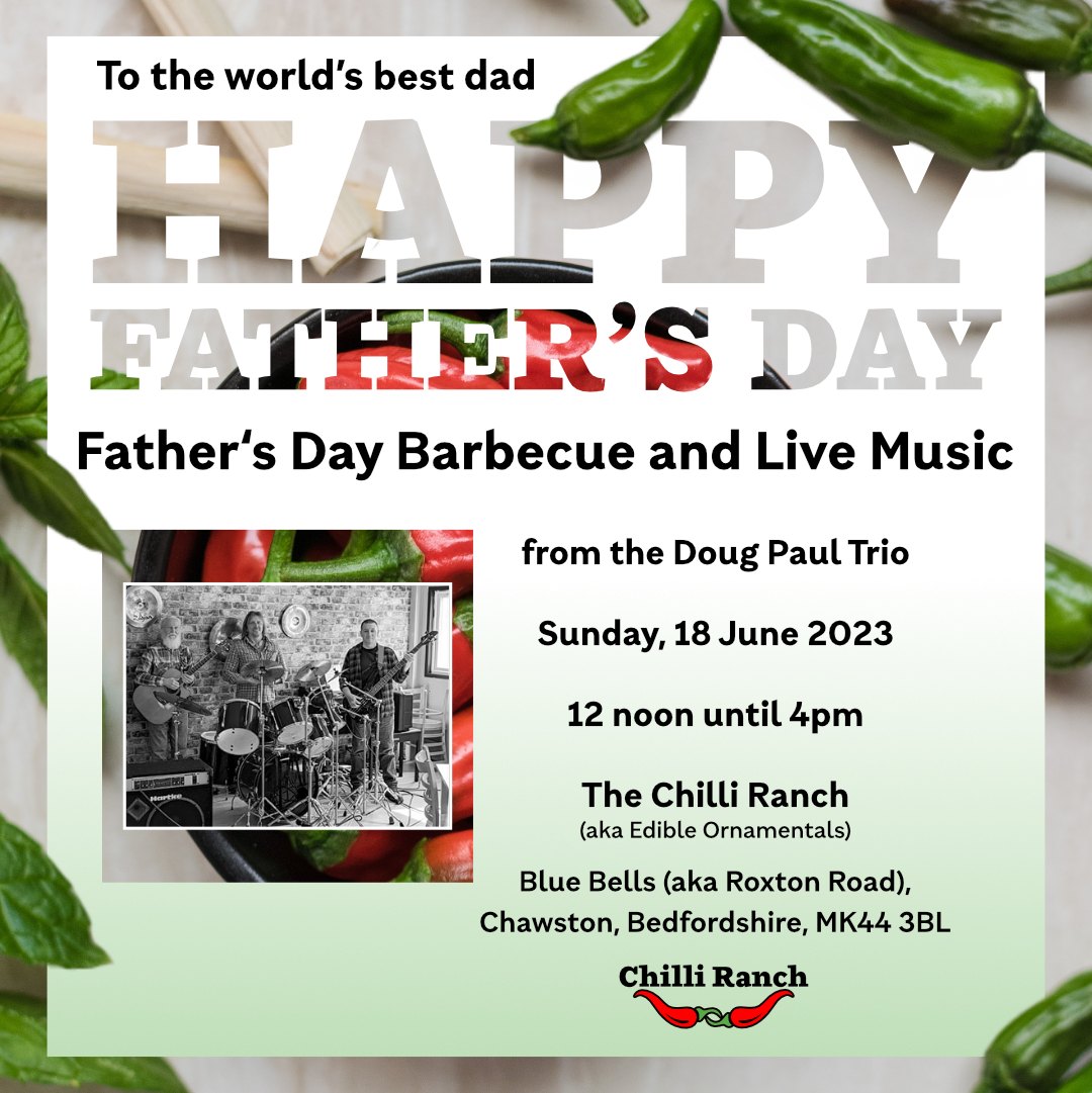 Father's Day Barbecue poster for 2023
