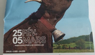 Picture of a poster for the Paris Festival of Agriculture