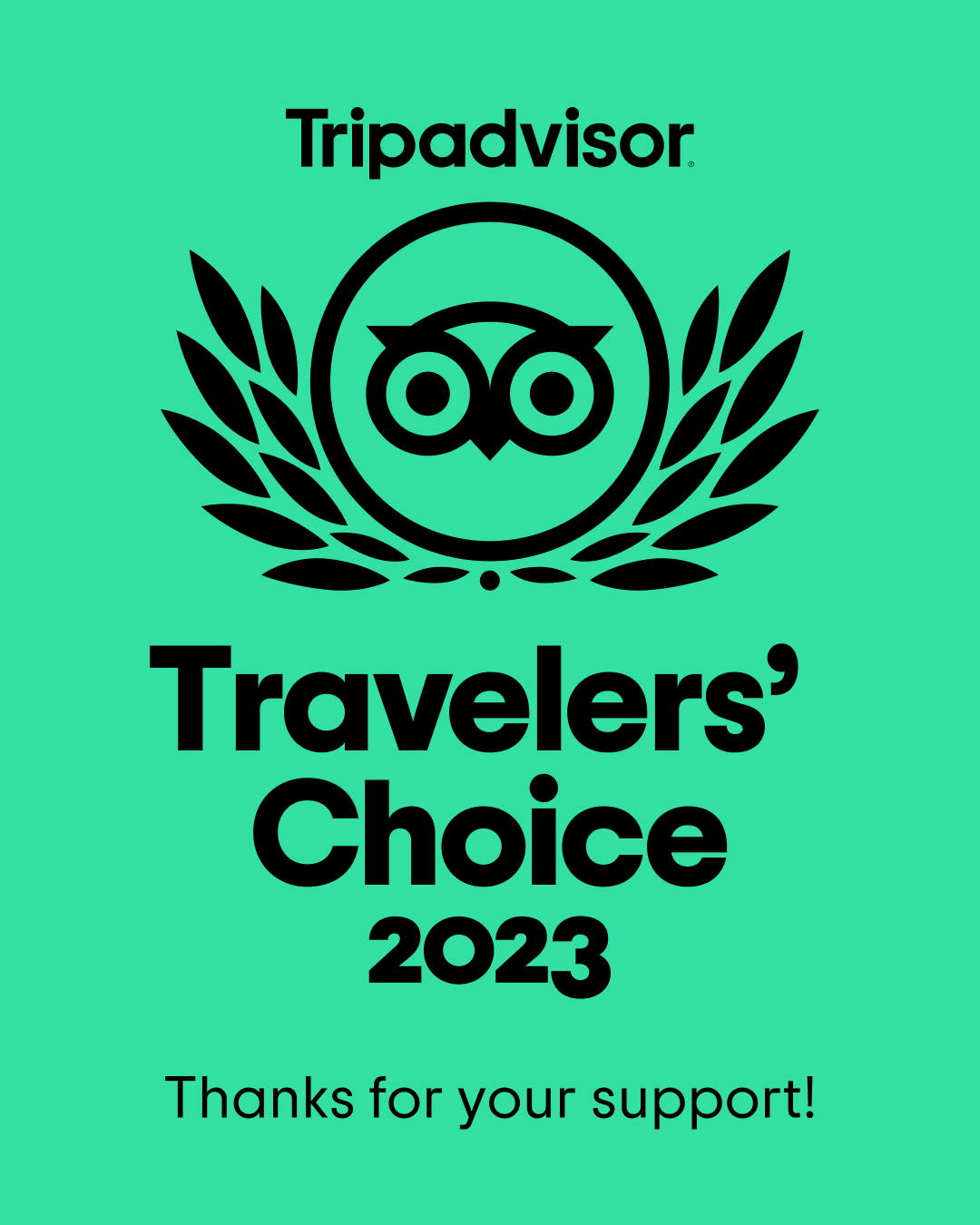 Chilli Ranch wins TripAdvisor Traveler’s Choice 2023 Award!