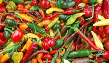 One Kilo Fresh Mixed Chillies