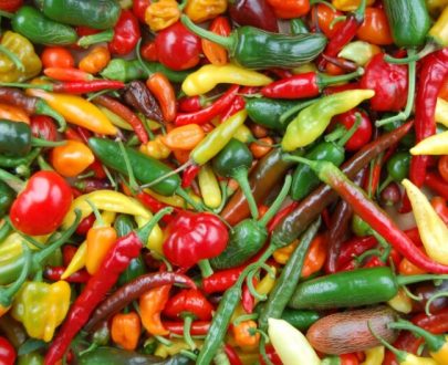One Kilo Fresh Mixed Chillies