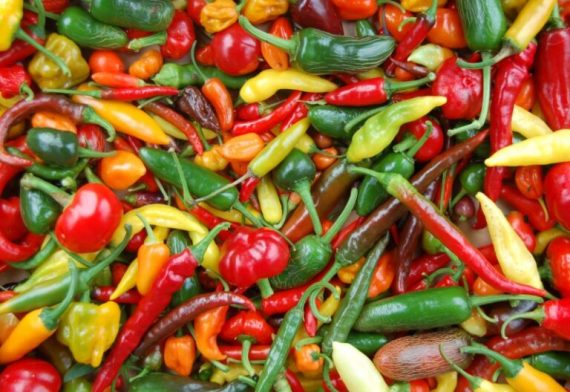 One Kilo Fresh Mixed Chillies