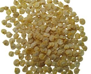 Seeds