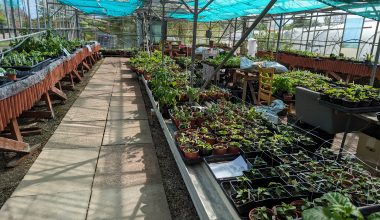 Selling Greenhouse