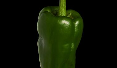 Fresh Pimientos de Padrón