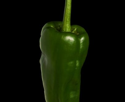 Fresh Pimientos de Padrón