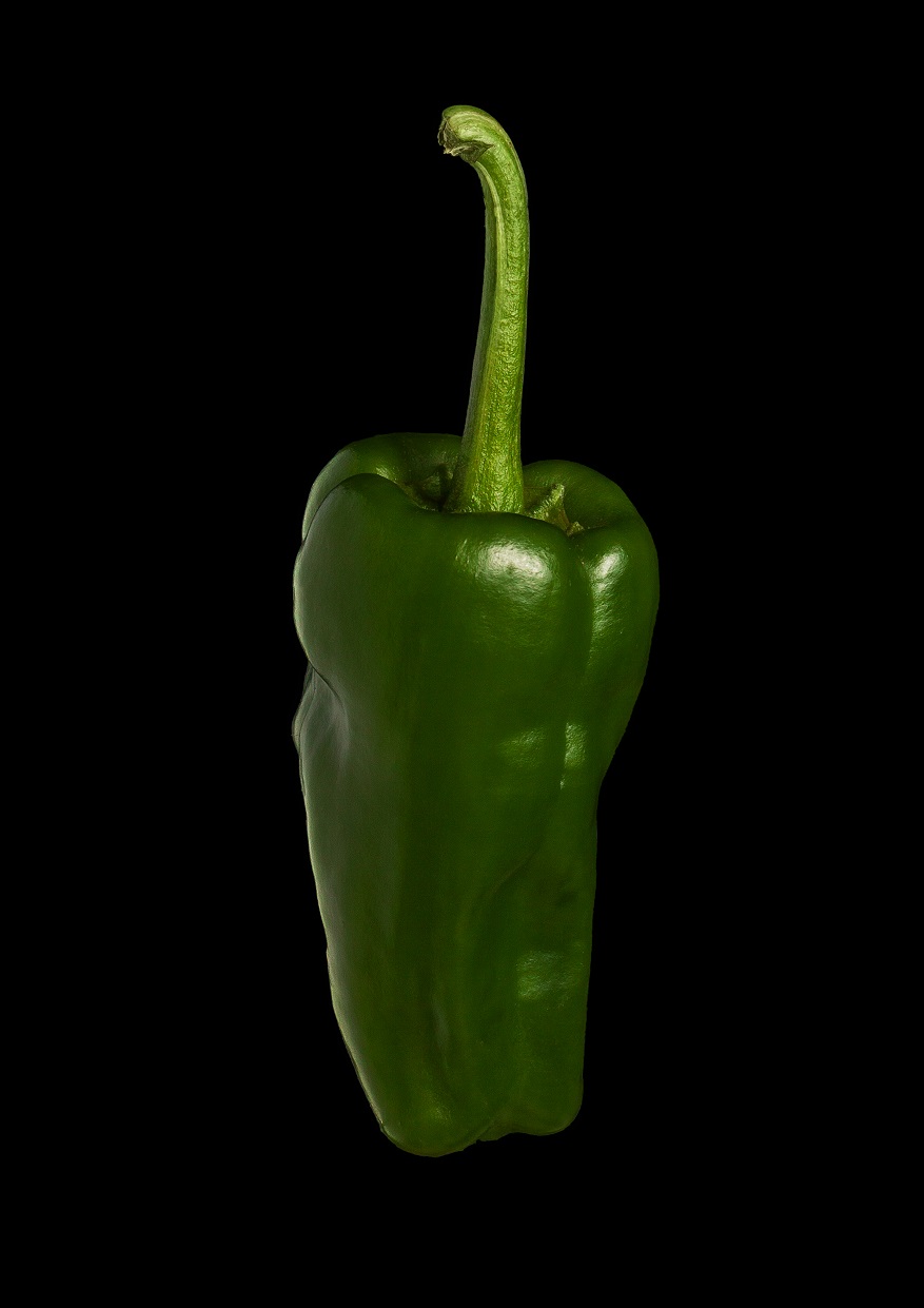 Fresh Pimientos de Padrón