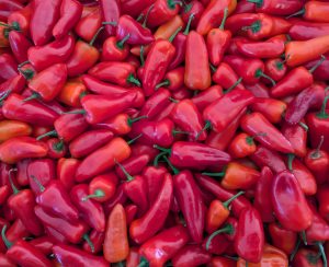 One Kilo Fresh Red Chillies (Winter Selection)