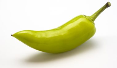 Hungarian Hot Wax chilli SEEDS (approximately 20 seeds)